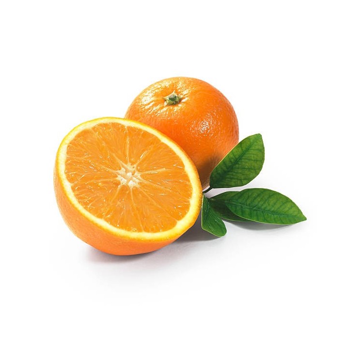 E-019