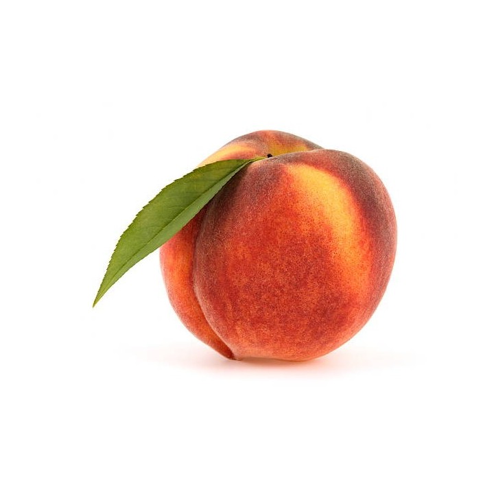 E-020