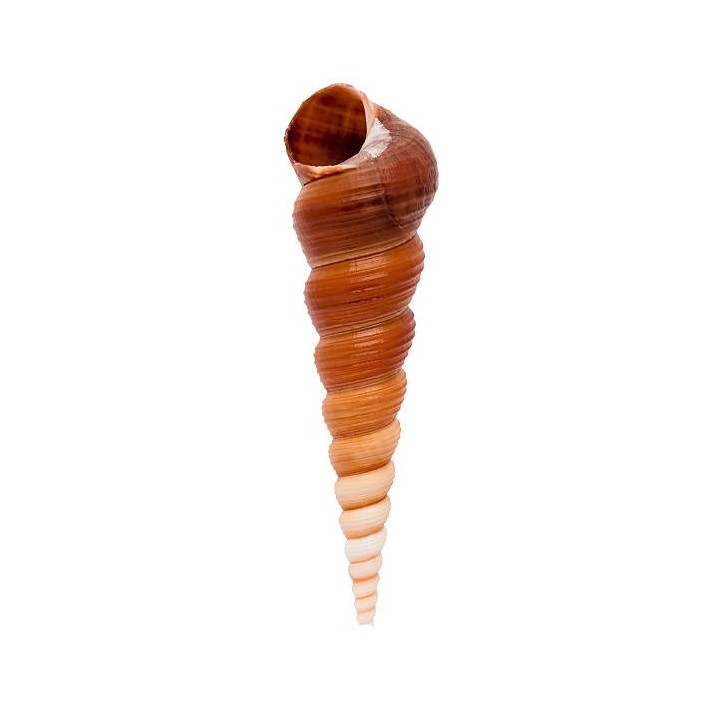 E-028
