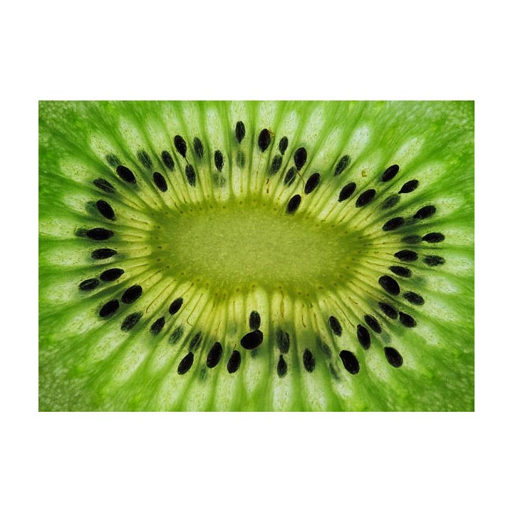 E-050