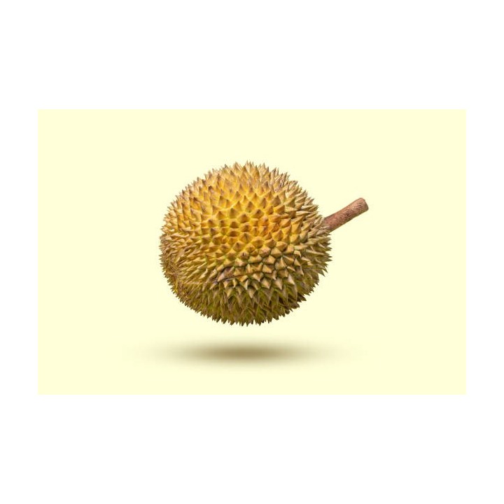 E-097