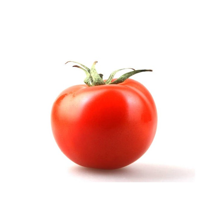 E-139