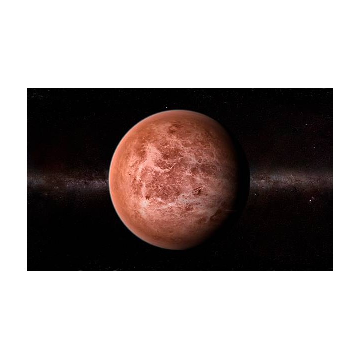 W-006