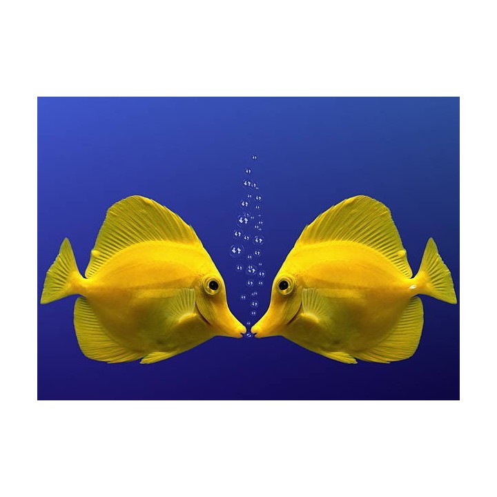 W-024
