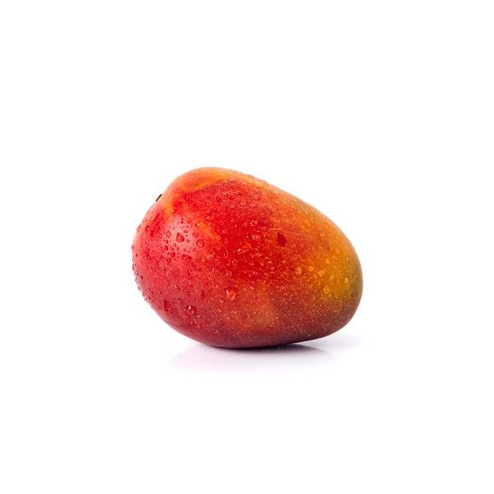 W-058
