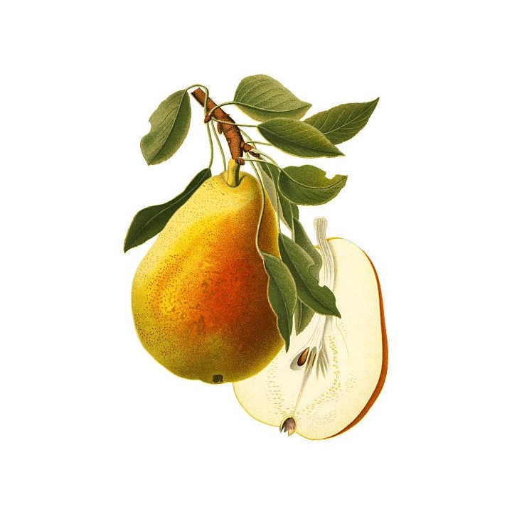 N-028