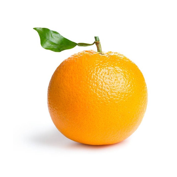 S-040